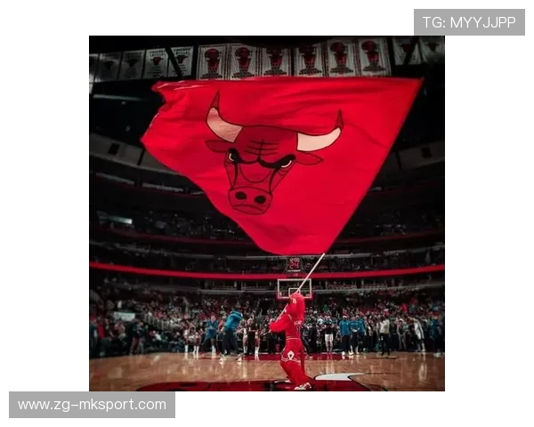 公牛外线定位球命中率攀升获赞